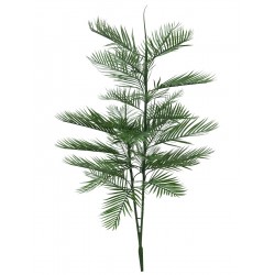 EUROPALMS Kentia palm tree,...