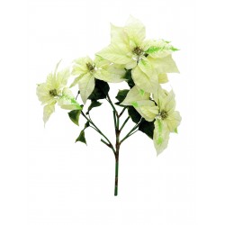 EUROPALMS Poinsettia bush,...