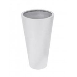 EUROPALMS LEICHTSIN...