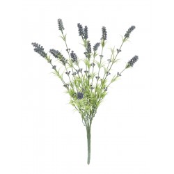 EUROPALMS Lavender bush,...