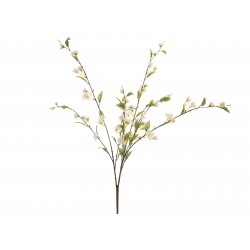 EUROPALMS Cherry spray,...