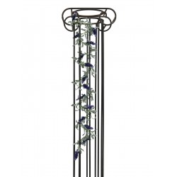 EUROPALMS Flowering...