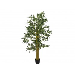 EUROPALMS Bamboo multi...