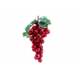 EUROPALMS Grapes with...