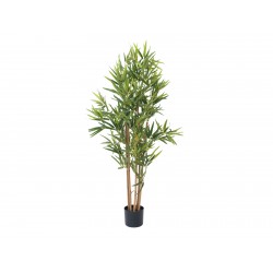 EUROPALMS Bamboo deluxe,...