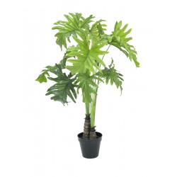 EUROPALMS Split Philo...