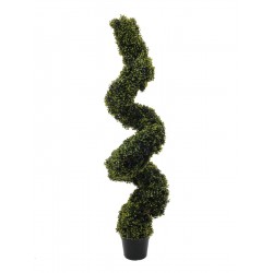 EUROPALMS Boxwood Spiral,...