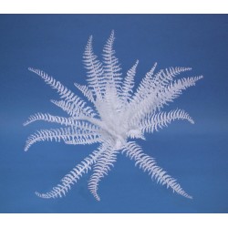 EUROPALMS White boston...