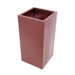 EUROPALMS LEICHTSIN...