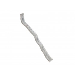 83502368 / EUROPALMS Cipo...