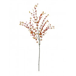 82505621 / EUROPALMS...