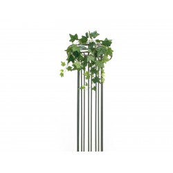 82501844 / EUROPALMS Ivy...