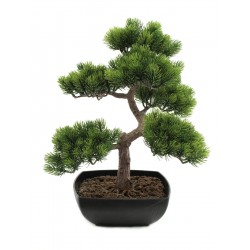 82600110 / EUROPALMS Pine...