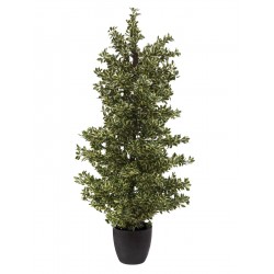 82600055 / EUROPALMS Wood...