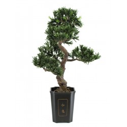 82600116 / EUROPALMS Bonsai...