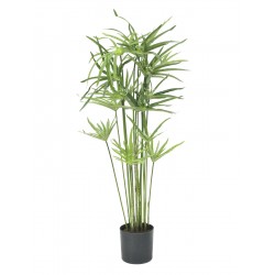 82600138 / EUROPALMS Cyprus...