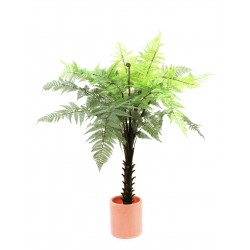 82600152 / EUROPALMS...