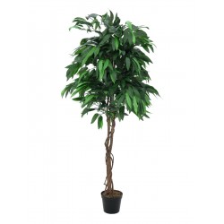 82506726 / EUROPALMS Jungle...